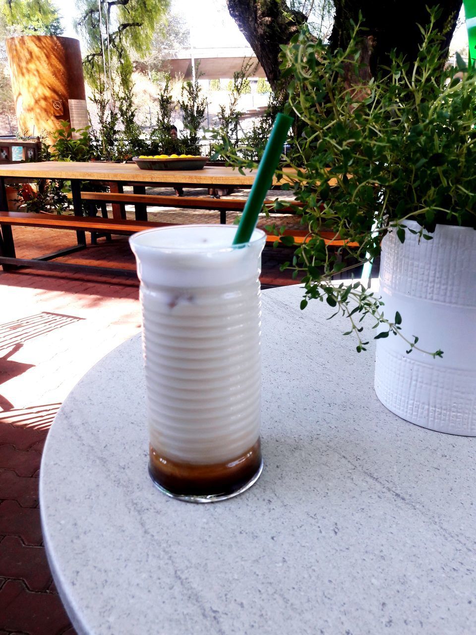 CLOSE-UP OF COFFEE ON TABLE AGAINST PLANTS