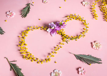 High angle view of pink flowering plant on table