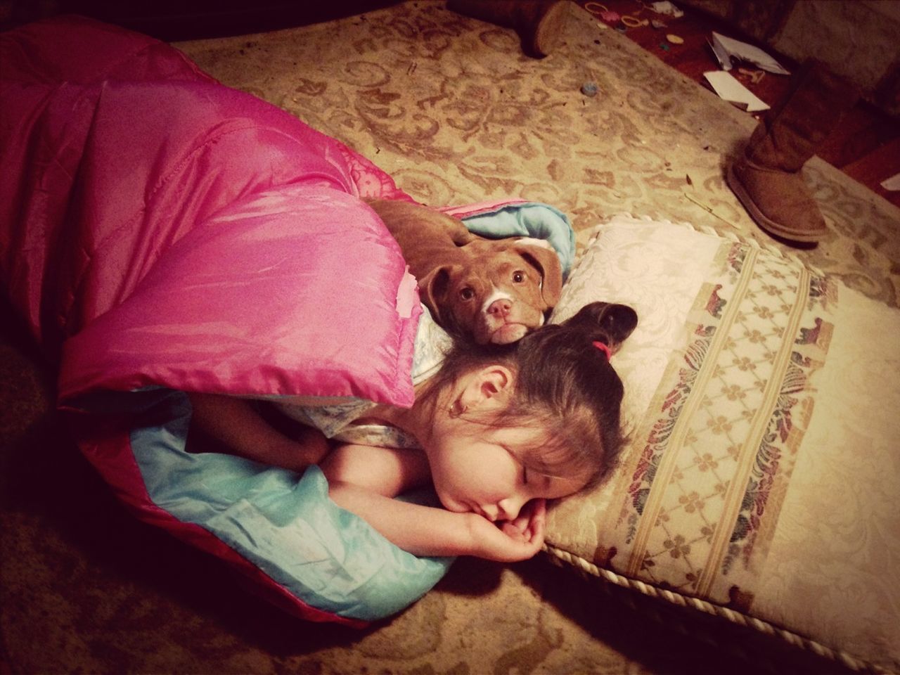 childhood, relaxation, lying down, innocence, cute, full length, person, sleeping, indoors, togetherness, baby, elementary age, babyhood, love, girls, bonding, sitting, boys, bed