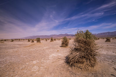 Scenic view of desert against sky