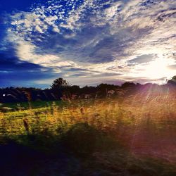 Scenic view of field against sky at sunset