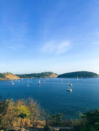 Scenic view of bay against blue sky