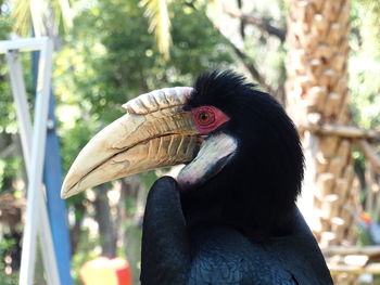 Close-up of bird on tree