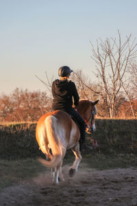 Rear view of woman riding horse on field against clear sky