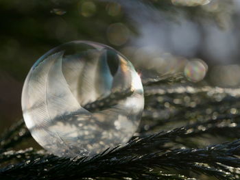 Close-up of crystal ball on water