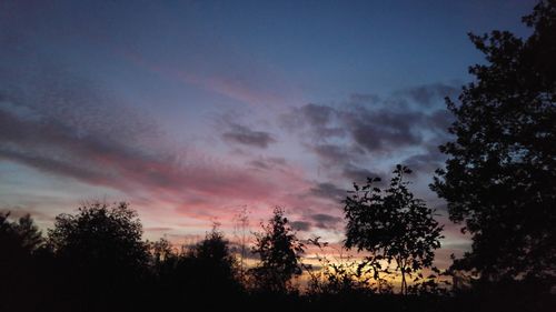 Low angle view of silhouette trees against sky at sunset