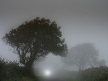 Low angle view of silhouette trees against sky