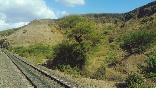 Railroad track amidst trees against sky