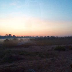 Scenic view of landscape at sunset