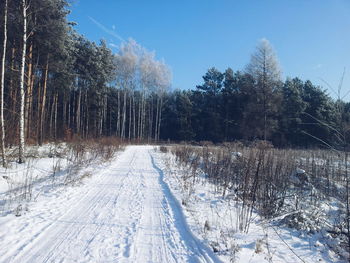 Snow covered landscape