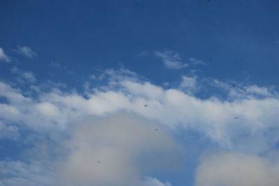 Low angle view of birds flying in sky