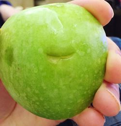 Close-up of hand holding apple