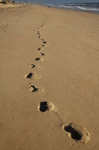 High angle view of footprints on wet sand at beach