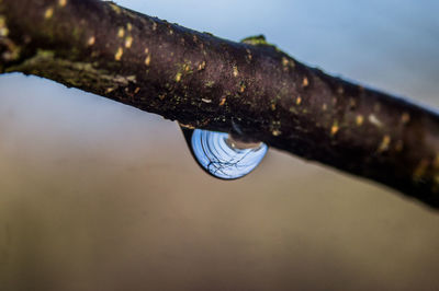 Close-up of water against sky