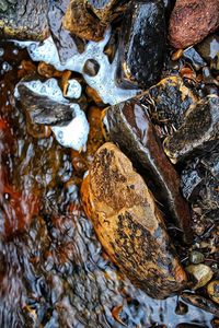 High angle view of wet rock in lake