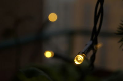 Close-up of illuminated light bulb