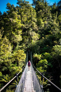 People walking on footbridge in forest