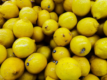 Full frame shot of oranges