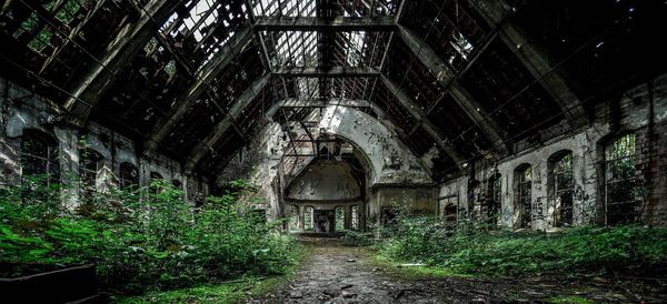 Interior of old ruin