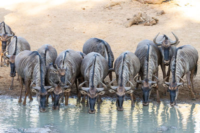 View of drinking water in lake