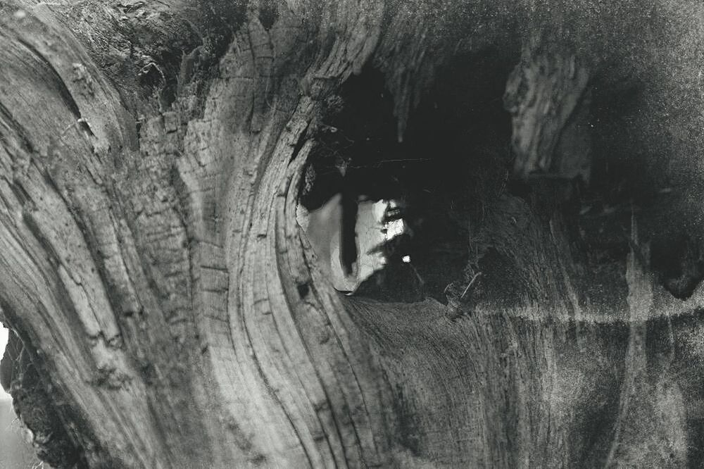 CLOSE-UP OF PLANKS ON WOOD