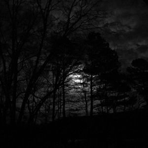 Silhouette trees in forest against sky at night