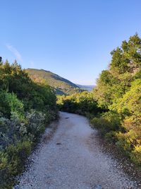 Road amidst trees against sky