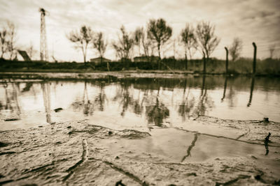 Reflection of trees in lake against sky