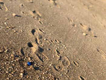 High angle view of footprints on sand at beach