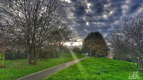 Road amidst bare trees on field against sky