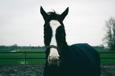 Horse at pen against sky