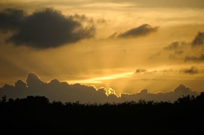 Silhouette trees against sky during sunset