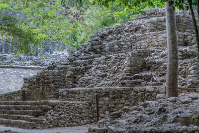 View of old stone wall in forest