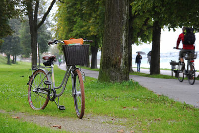 Travel to salzburg, austria. a bicycle on a view of a park, a river and mountains.