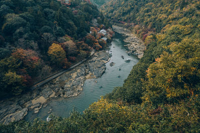 High angle view of river amidst trees during autumn