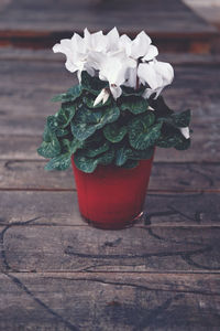 Close-up of rose flower vase on table