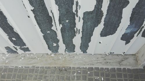 Close-up of wet window