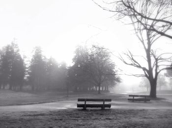 Empty bench in park