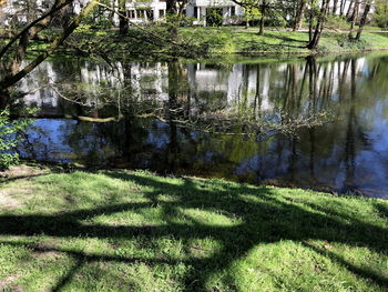 Scenic view of lake in forest