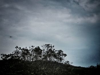 Low angle view of trees against cloudy sky