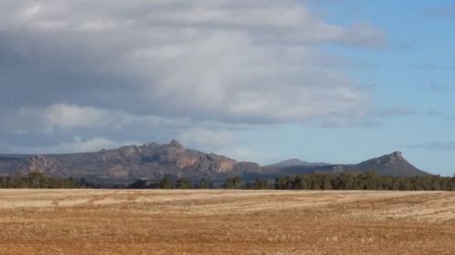 Scenic view of landscape against sky