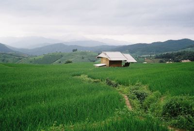 House on field against sky