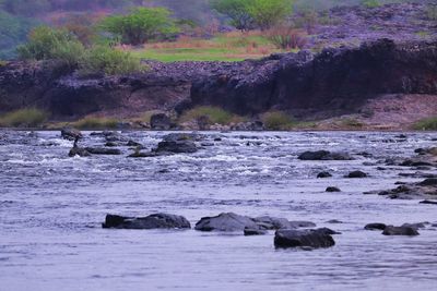 Scenic view of river flowing through rocks