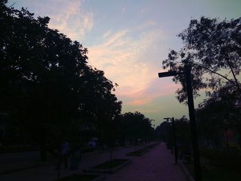 Trees against sky during sunset