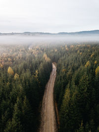 Road amidst trees against sky