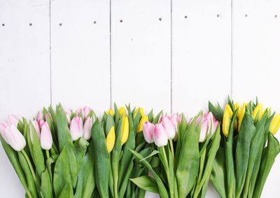 Close-up of flowers blooming outdoors