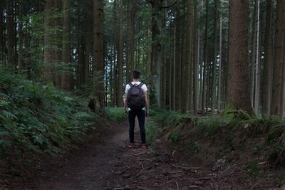 Full length of woman standing on tree trunk in forest