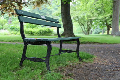 Empty bench in park, sexy bench