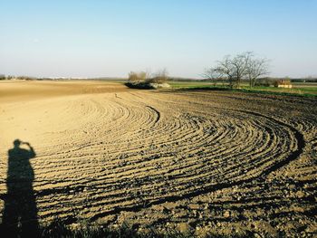 Scenic view of field against clear sky