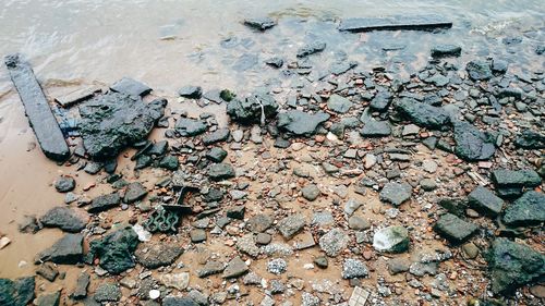 High angle view of crab on beach